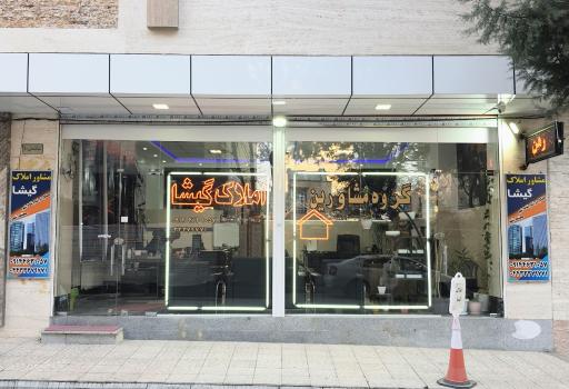 عکس مشاور املاک گیشا