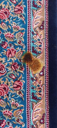 عکس تعمیرات فرش مهران