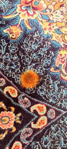 عکس تعمیرات فرش مهران