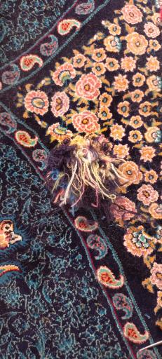 عکس تعمیرات فرش مهران