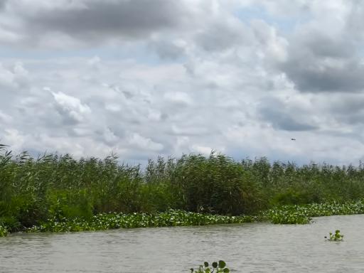 عکس اسکله قایقرانی دلارام تالاب انزلی