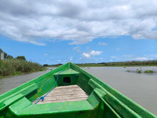 عکس اسکله قایقرانی دلارام تالاب انزلی