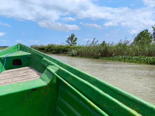 عکس اسکله قایقرانی دلارام تالاب انزلی