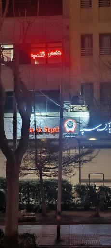 دکتر پریسا سالاری متخصص قلب