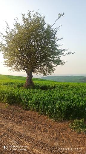 عکس جامخانه