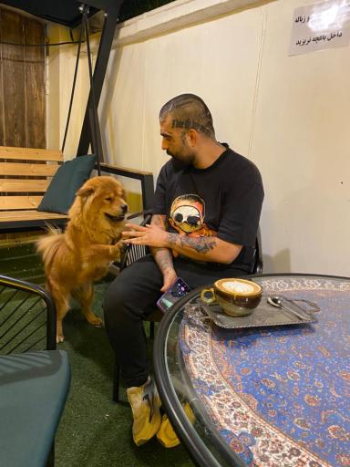 عکس کافه آبان