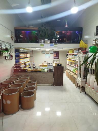 عکس عطاری طاها