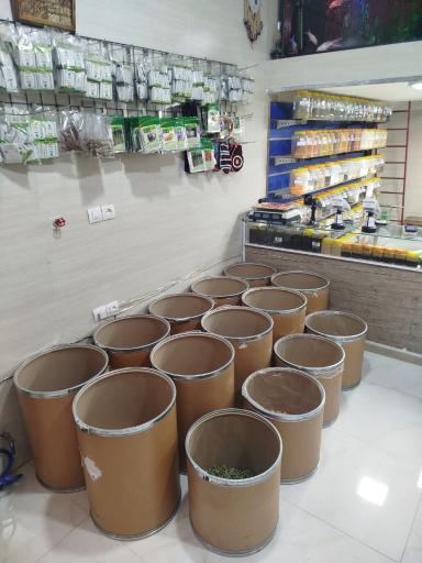 عکس عطاری طاها