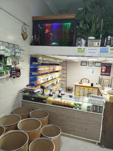 عکس عطاری طاها