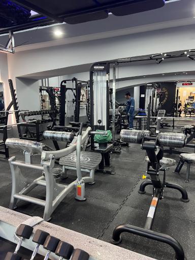 عکس باشگاه ورزشی نیومند