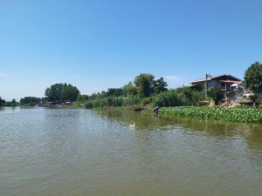 عکس اسکله قایقرانی دلارام تالاب انزلی