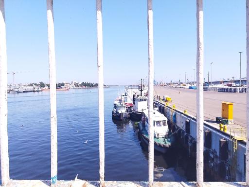 اسکله قایقرانی دلارام تالاب انزلی