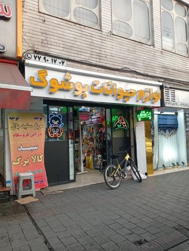 عکس پت شاپ بوشوِگ