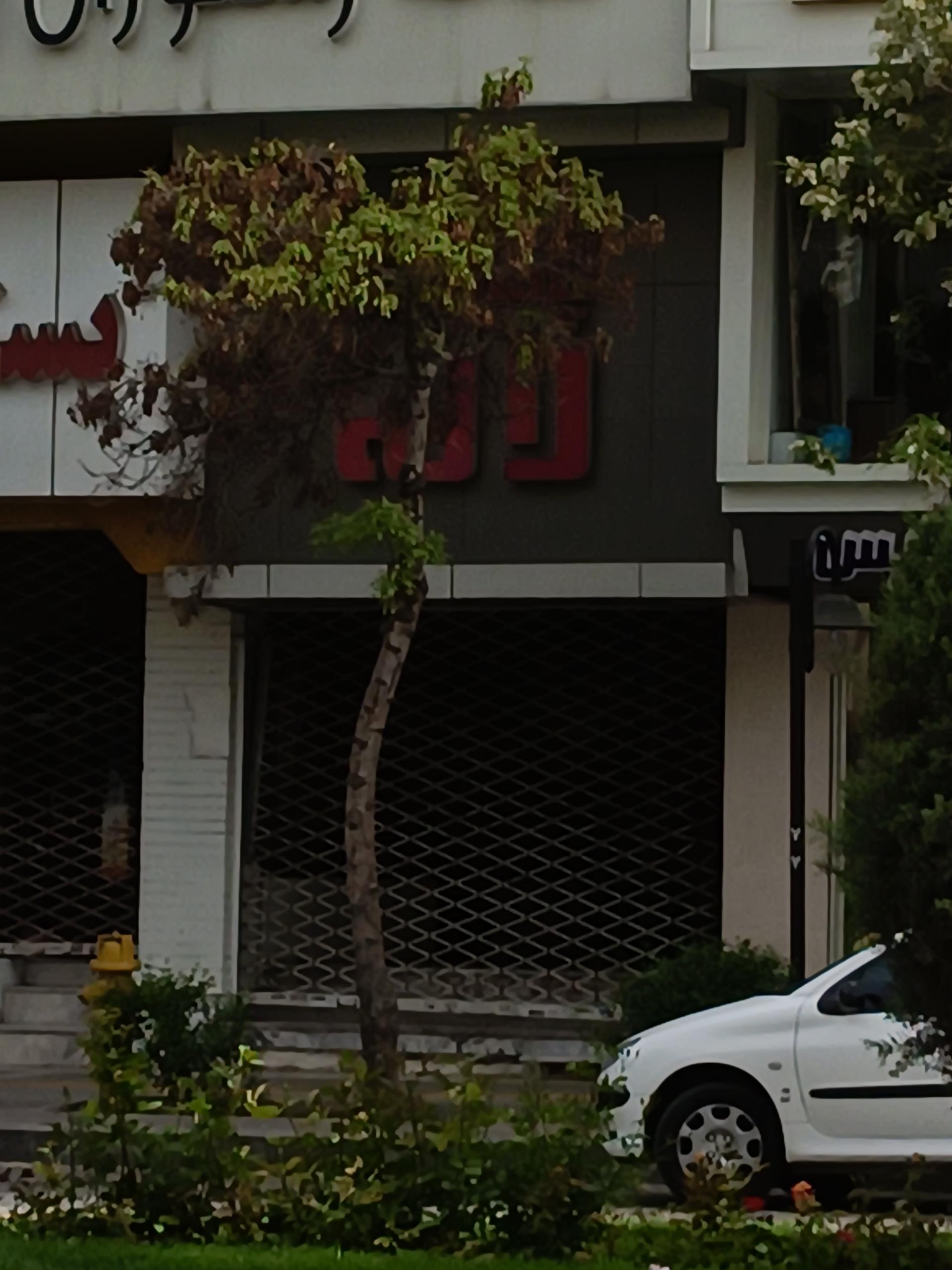 عکس پاساژ لاله