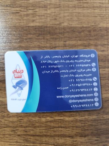 عکس دنیای شنا