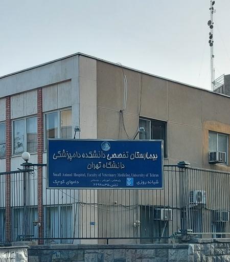 بیمارستان دام های کوچک دانشکده دامپزشکی