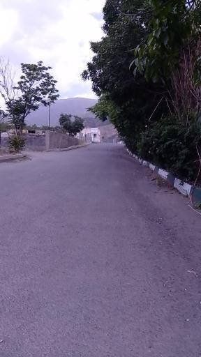 عکس باغ رستوران ارغوان 