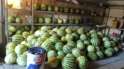 عکس میوه فروشی دوستان