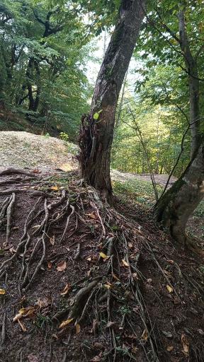 عکس دریاچه چورت