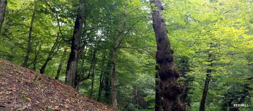 عکس دریاچه چورت