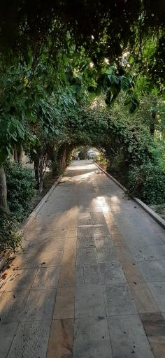 عکس بوستان نارنج