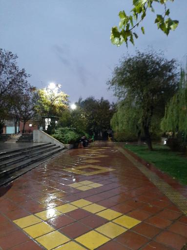 عکس بوستان نارنج