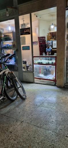 عکس الکترونیک اسدی