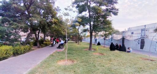 پارک پامچال