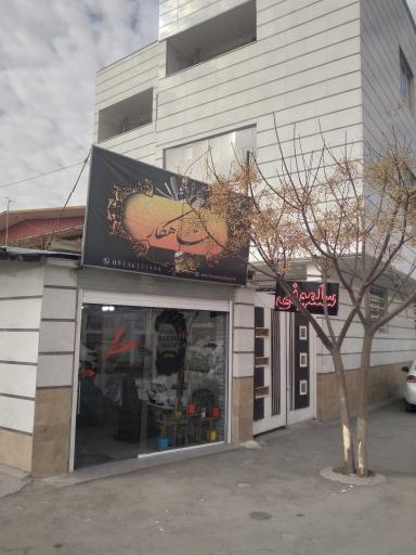 عکس سلمونی تیپکده شاهکار