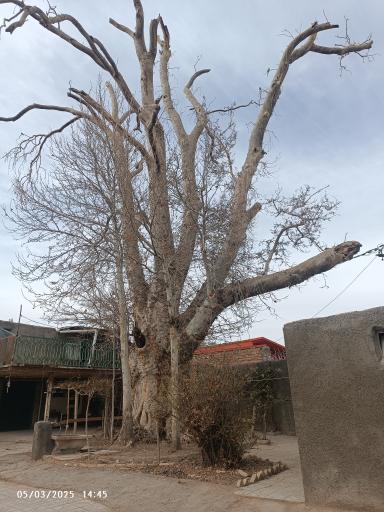 عکس مسجد امام حسن مجتبی