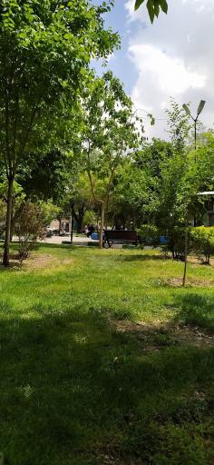 عکس پارک پامچال