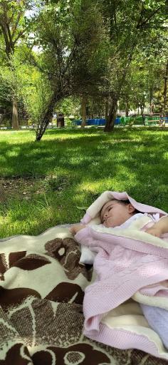 پارک پامچال