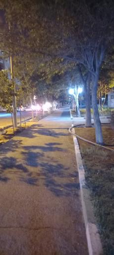 عکس پارک پامچال