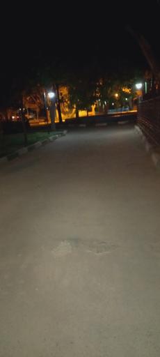 عکس پارک پامچال