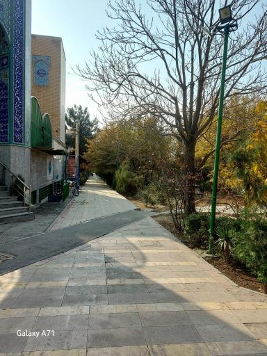 عکس بوستان نارنج