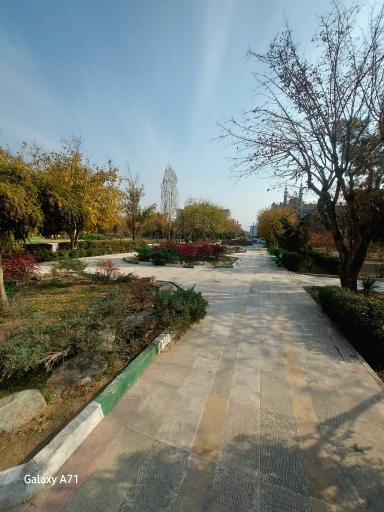 عکس بوستان نارنج