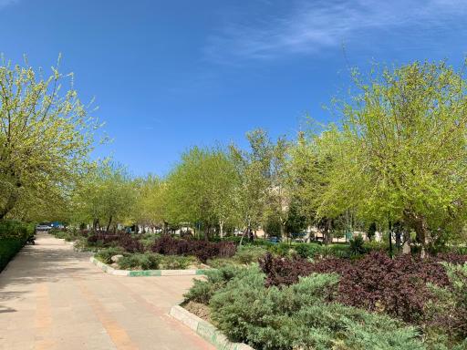 عکس بوستان نارنج