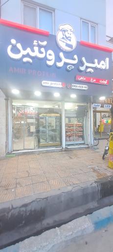 عکس امیر پروتئین 
