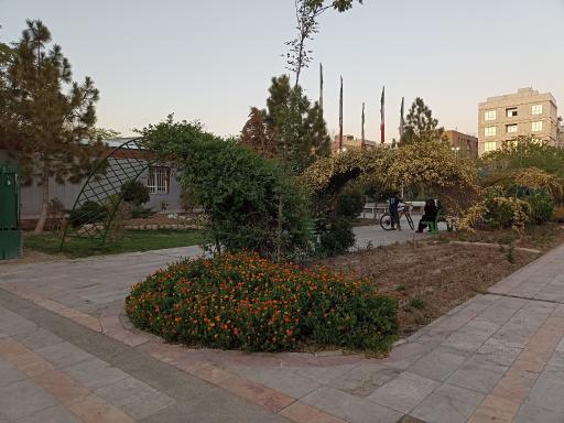 عکس بوستان نارنج