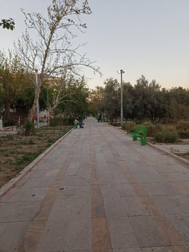 عکس بوستان نارنج