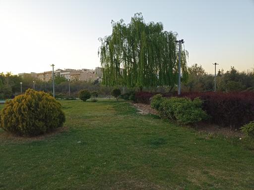 عکس بوستان نارنج