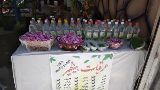 عکس گلابگیری و عرقیات بینظیر