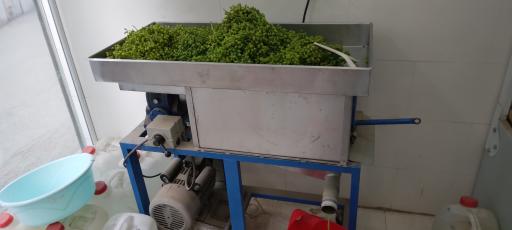 عکس گلابگیری و عرقیات بینظیر