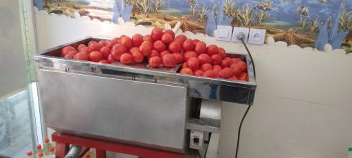 عکس گلابگیری و عرقیات بینظیر