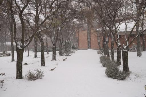 دانشگاه محقق اردبیلی