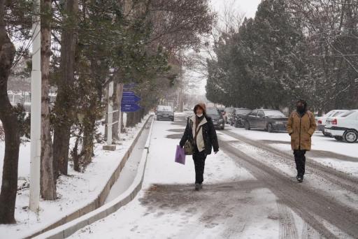 دانشگاه محقق اردبیلی