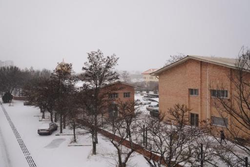 عکس دانشگاه محقق اردبیلی