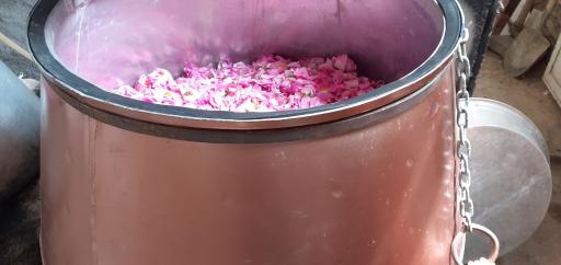 عکس گلابگیری و عرقیات بینظیر