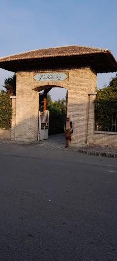 عکس آرامگاه استاد محمدرضا لطفی