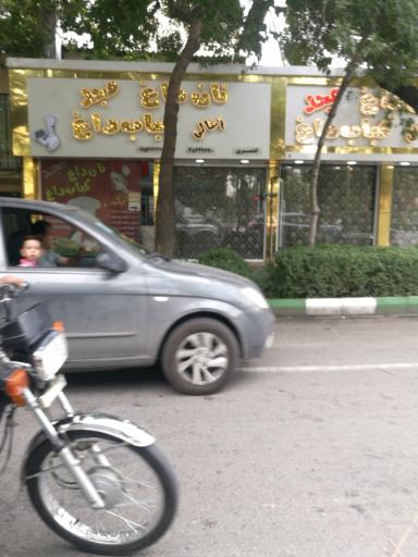 عکس کباب‌ مجد